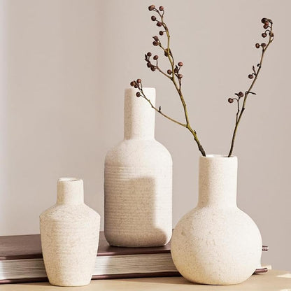 Ceramic Decorative Vase Set of 3